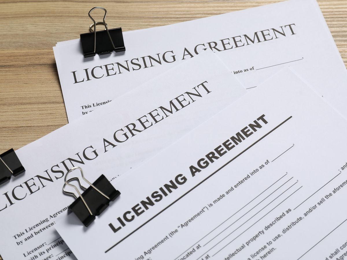 Company Setup & Licensing 